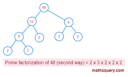 Prime factorization tree of 48 another way