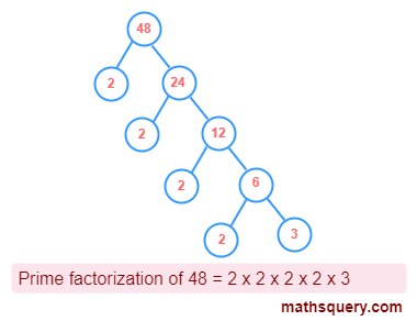 Prime factorization of 48